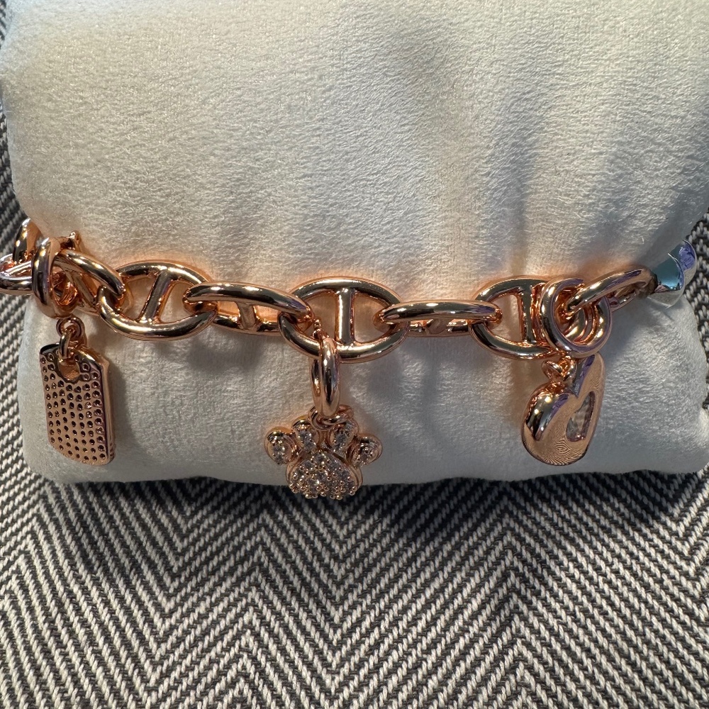 A Furry Sole Mate - Charmelier Charm Bracelet collection By BP